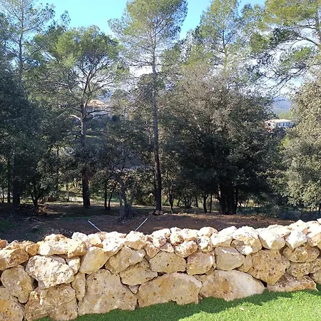 Charmant T2 Au Calme Vidauban Extérieur photo